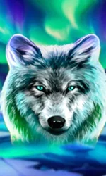 Wolf Fang - Northern Spirits