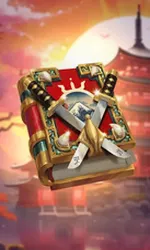 Book Of The Last Ronin